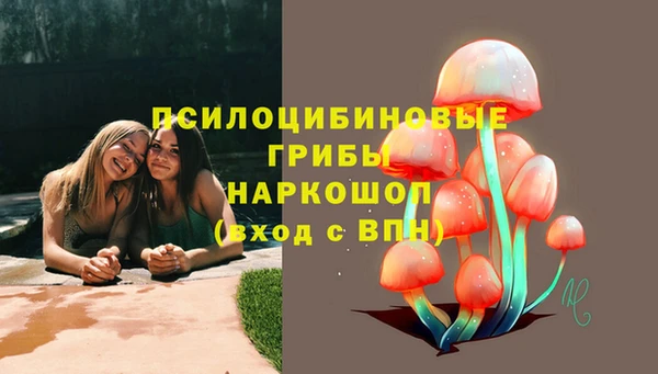 МДПВ Каменка