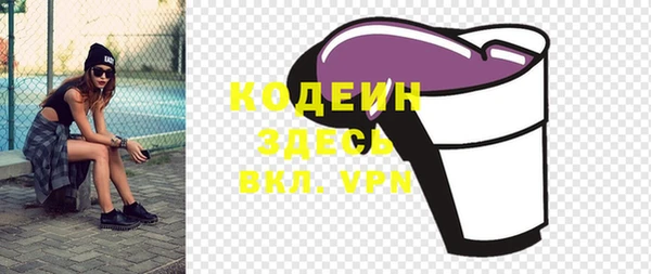 МДПВ Каменка
