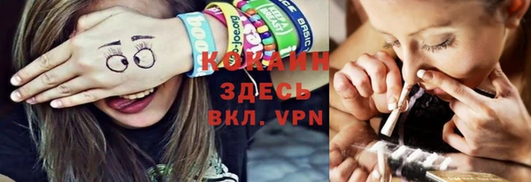 молекула духа Каменногорск