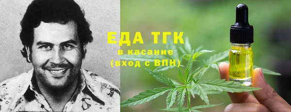 МДПВ Каменка