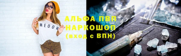 тгк Касимов
