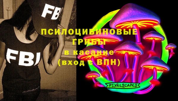 молекула духа Каменногорск