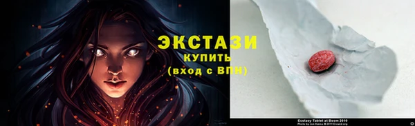 МДПВ Каменка