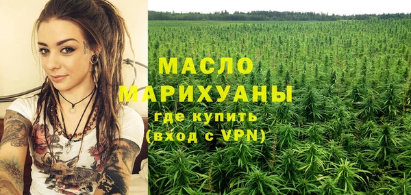 МДПВ Каменка