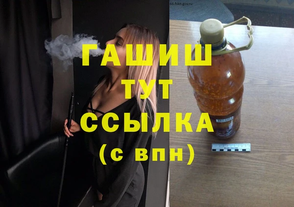 МДПВ Каменка