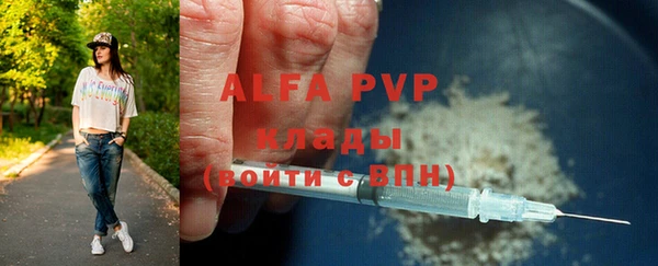 МДПВ Каменка