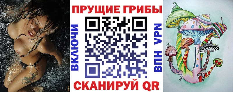 Галлюциногенные грибы Psilocybine cubensis Канск