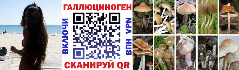Купить где  Канск  Псилоцибиновые грибы прущие грибы 